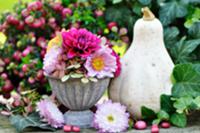 Autumn arrangement of dahlias, asters, hydrangeas,