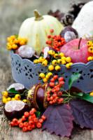 Zinc tray with conkers, apples, pumpkins and berri