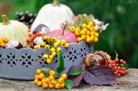 Zinc tray with conkers, apples, pumpkins and berri