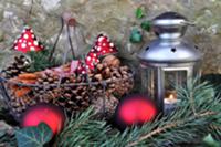 Advent arrangement with lantern in garden