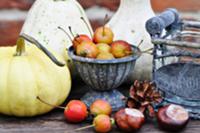 Autumn arrangement of pumpkins, crab apples, conke