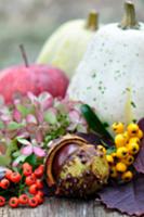 Autumn arrangement with pumpkins, apple, conker, b