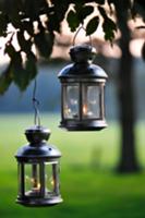 Lanterns hanging from tree in garden