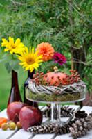 Autumn table centre of pumpkin, dahlias, apples an