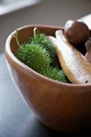 Horse chestnuts in green prickly shells and wooden