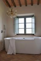 Designer bathtub in front of window and brass chan