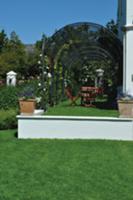 Terrace beneath pergola in garden