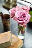 Posy of pink roses in glass vase