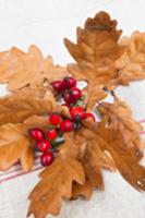 Brown oak leaves and rosehips on rustic linen