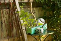 Table next to wooden fence in garden