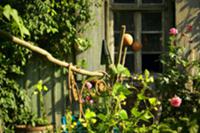 Wooden building in cottage garden