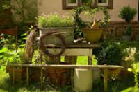 Summery garden with potted plants