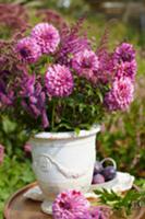 Summer bouquet on a garden table