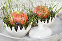 Winter table decoration with apple, berries and gr