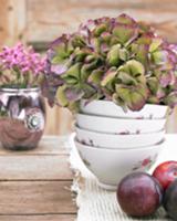 Centrepiece of hydrangeas and plums