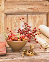 Autumn centrepiece with crab apples and rosehips o