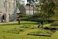 Preparing the garden for winter