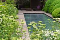 Swimming pool in garden