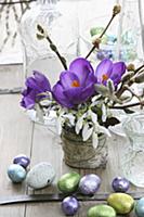 Spring posy of purple crocuses, snowdrops and will