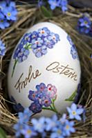 Easter egg decorated with forget-me-nots