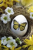 Egg with butterfly motif in Easter nest