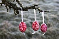 Three painted Easter eggs hanging on branch of app