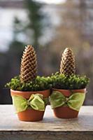 Two terracotta pots decorated with green ribbons, 