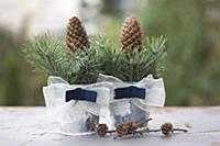 Two zinc buckets decorated with ribbons, spruce tw