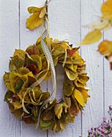 Parrotia and Prunus autumn leaves wreath