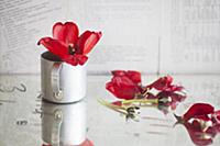 Red tulip in metal mug next to scattered petals an