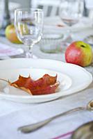 Red autumn leaf on white plate and apples on set t