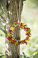 Wreath of rose hips and yellow flowers hung on tre