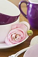 Pink ranunculus flower and bud next to stacked tea