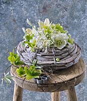 Arrangement of hellebores, harebells and grape hya