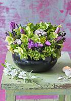 Hellebores, tulips, Viburnum tinus, honesty and th