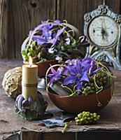 Clematis, grapes and blackberries arranged in bowl