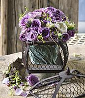 Bouquet of purple and white roses