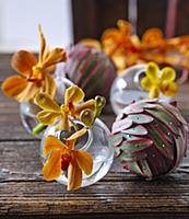 Vanda orchid flowers in glass spheres