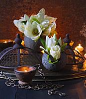 White magnolia flowers in black vases