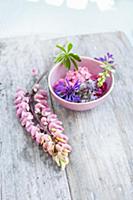 Perennial cornflower and lupin flowers