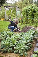 Woman working in vegetable patch