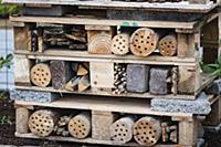 DIY insect hotel made from pallets