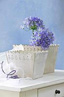 Blue agapanthus in one of two romantic pots with o