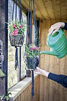 Watering macrame hanging planters in summer house