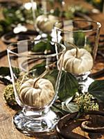 Ornamental gourds in glasses (autumn table decorat