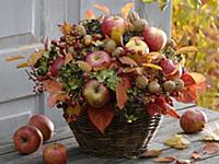 Autumn bouquet with apples, nuts, leaves and hydra