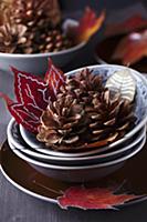 Stacked bowls, pine cones and painted autumn leave