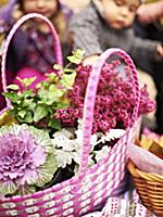 Basket of autumnal flowers as decoration for autum