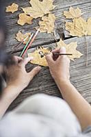 Painting an owl's face on a pressed autumn leaf