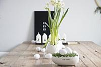 Easter arrangement of cress nest with white eggs, 